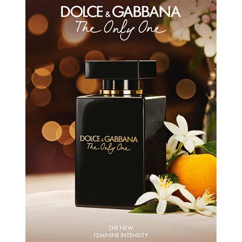 dolce gabbana the only one eau de parfum spray stores